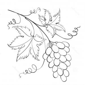 300x300 Seamless Brown Background With Grapevine Vector Clipart Soidergi