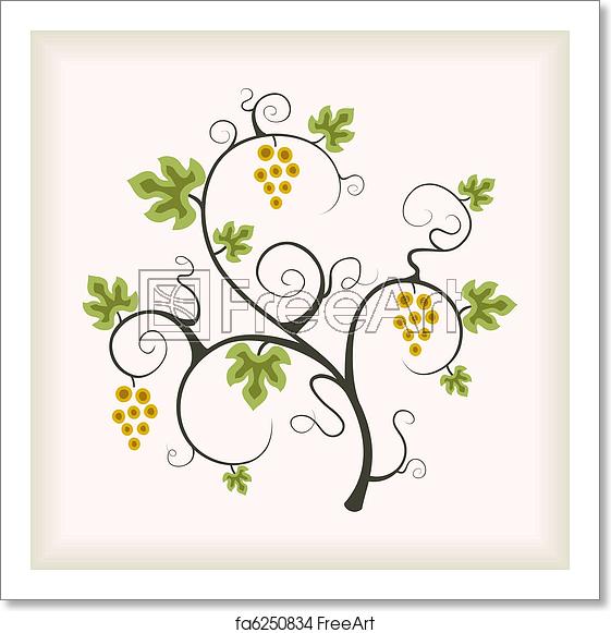 561x581 Free Art Print Of Grape Vine Grape Vine Vector Illustration