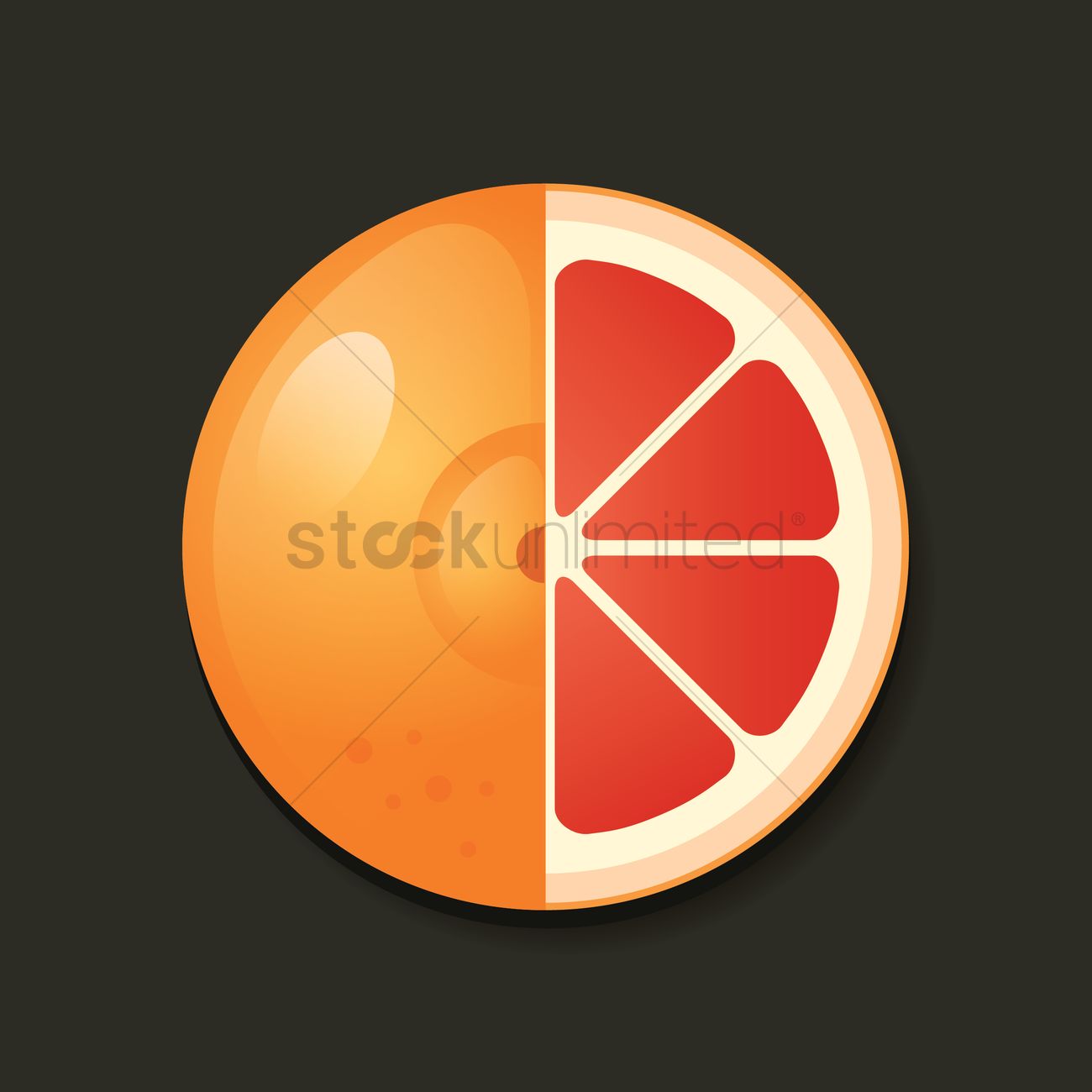 1300x1300 Grapefruit Vector Image