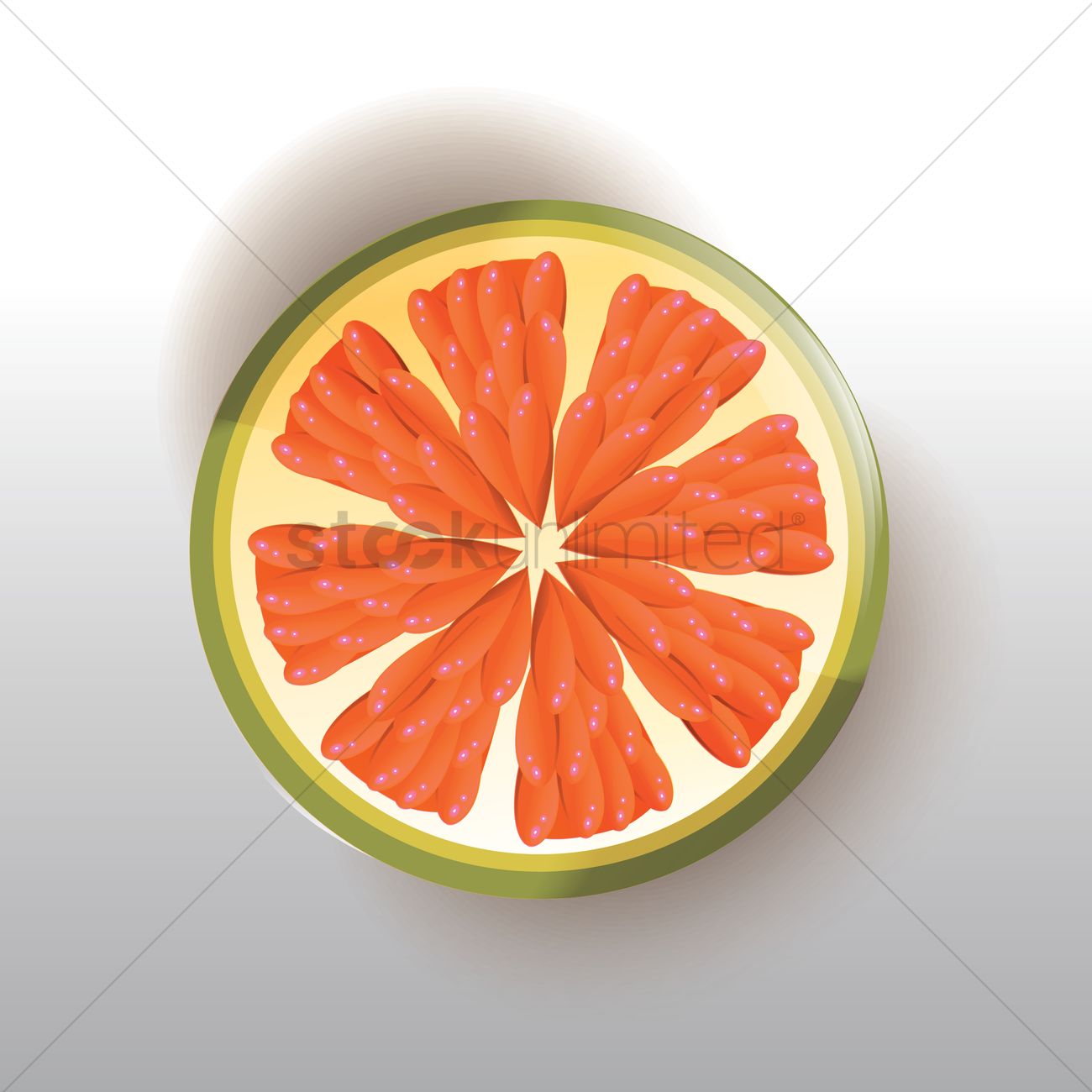 1300x1300 Grapefruit Vector Image
