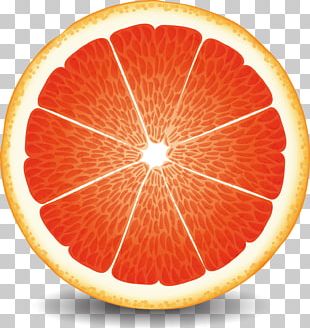 310x328 Grapefruit Vector Png Images, Grapefruit Vector Clipart Free Download