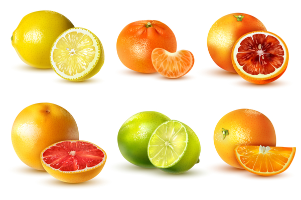 600x400 Grapefruit On Curated Vector Illustrations, Stock Royalty Free
