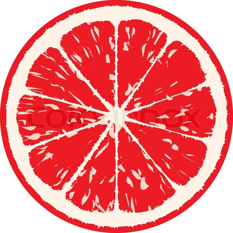 800x800 Grapefruit Vector Illustration Stock Vector Colourbox