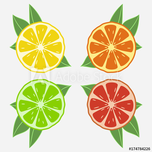 500x500 Citrus Fruits With Leaf Orange, Lime, Lemon, Grapefruit Vector