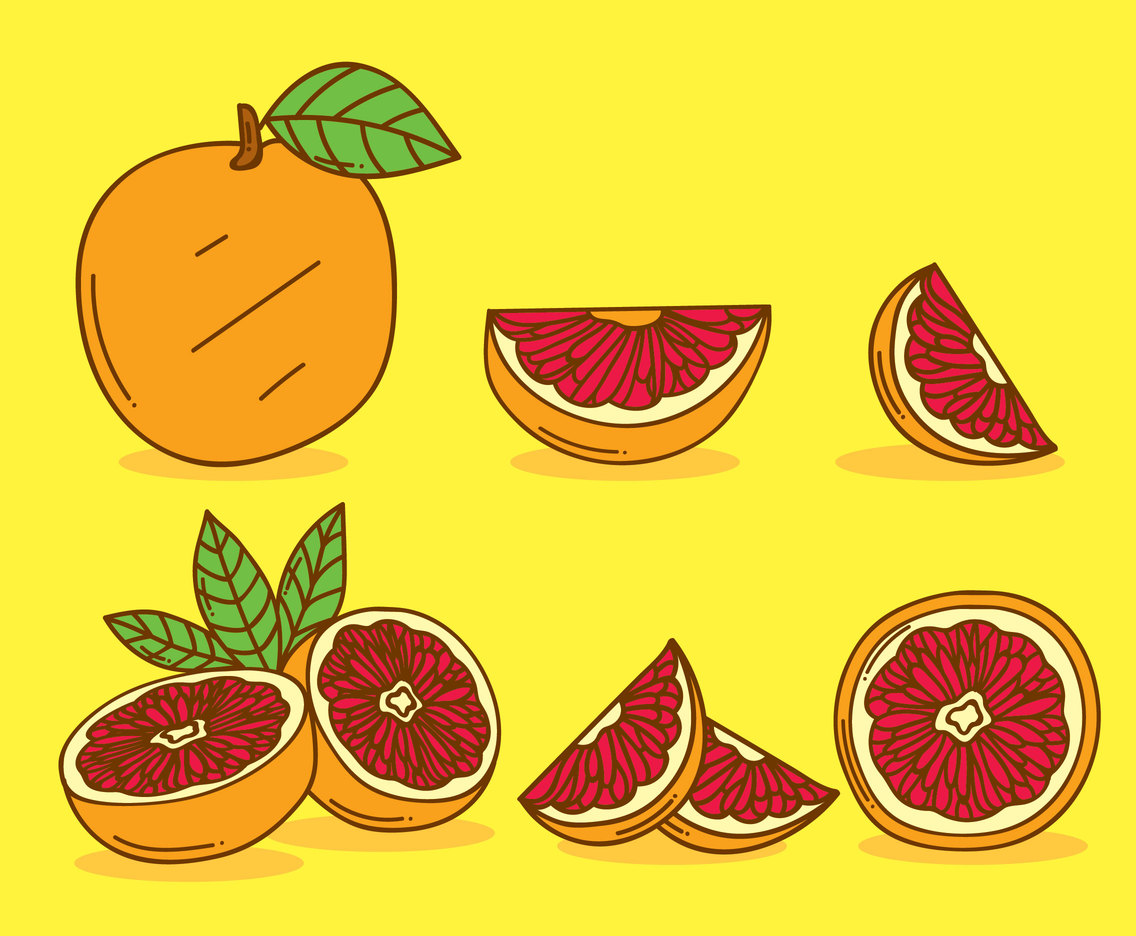 1136x936 Hand Drawn Grapefruit Vector Vector Art Graphics