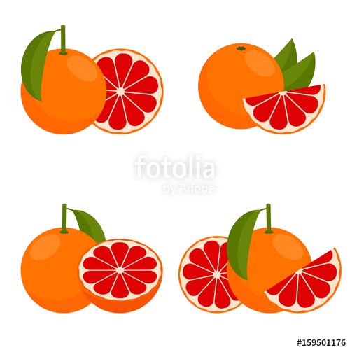 500x500 Icon Grapefruit Vector Illustration Stock Image And Royalty