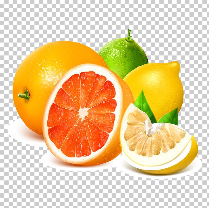 728x724 Lemon Grapefruit Illustration Png, Clipart, Citrus, Food, Fruit