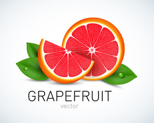 300x240 Pink Grapefruit Vector Photos, Royalty Free Images, Graphics