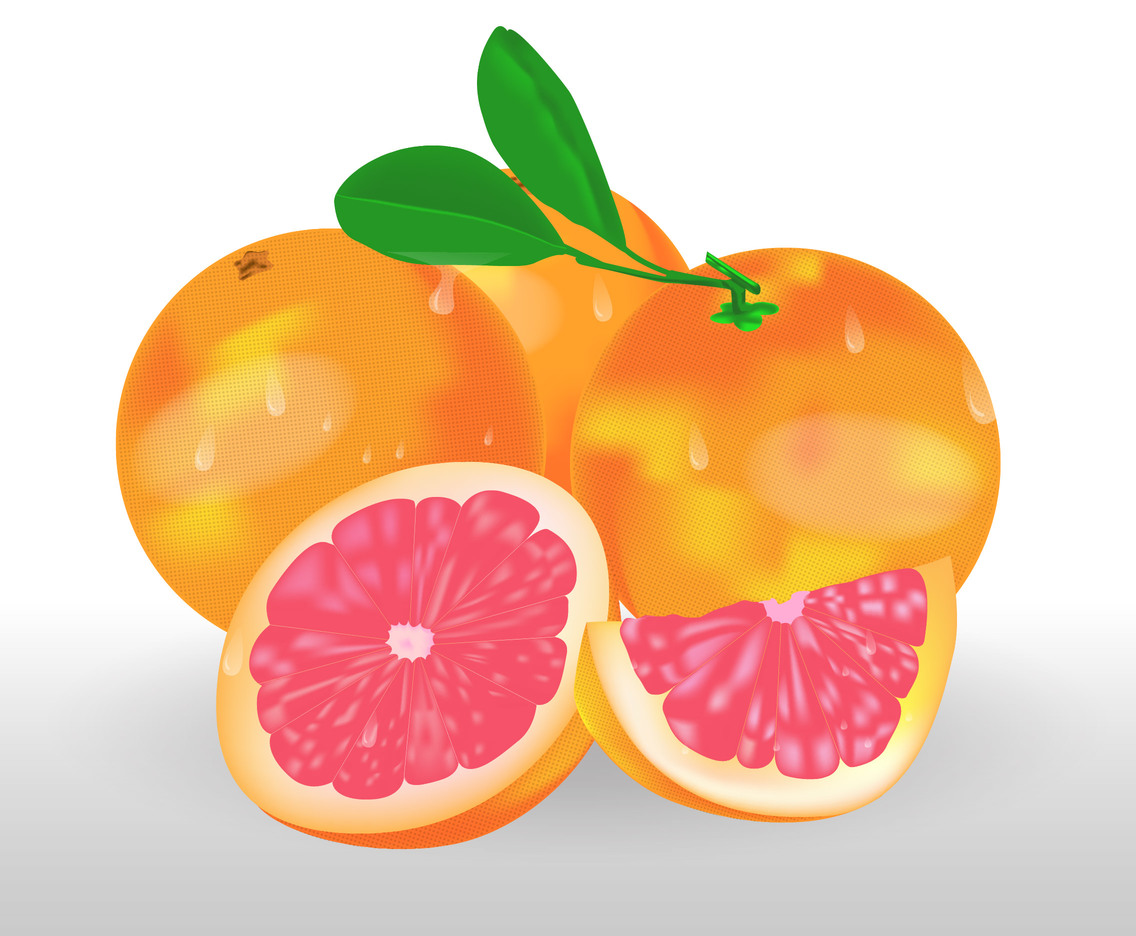 1136x936 Realistic Grapefruit Vector Art Graphics