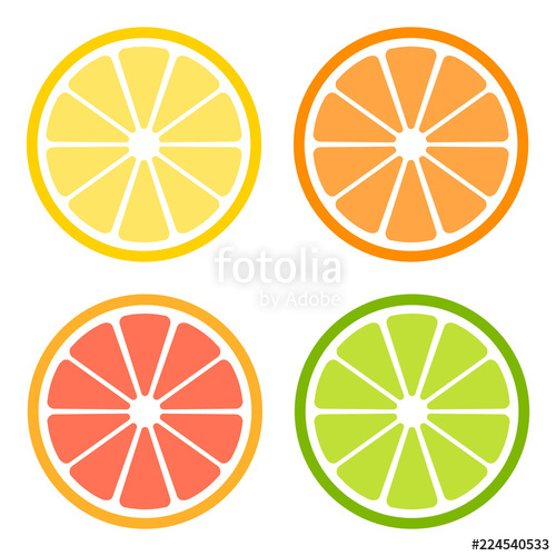 500x500 Citrus Slices Of Lemon, Orange, Lime And Grapefruit Vector