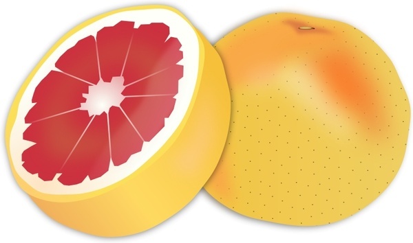 600x354 Vector Grapefruit For Free Download