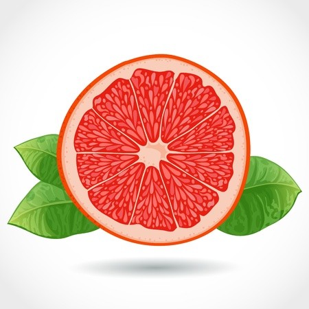 450x450 Fresh Ripe Piece Of Grapefruit Vector Illustration Isolated