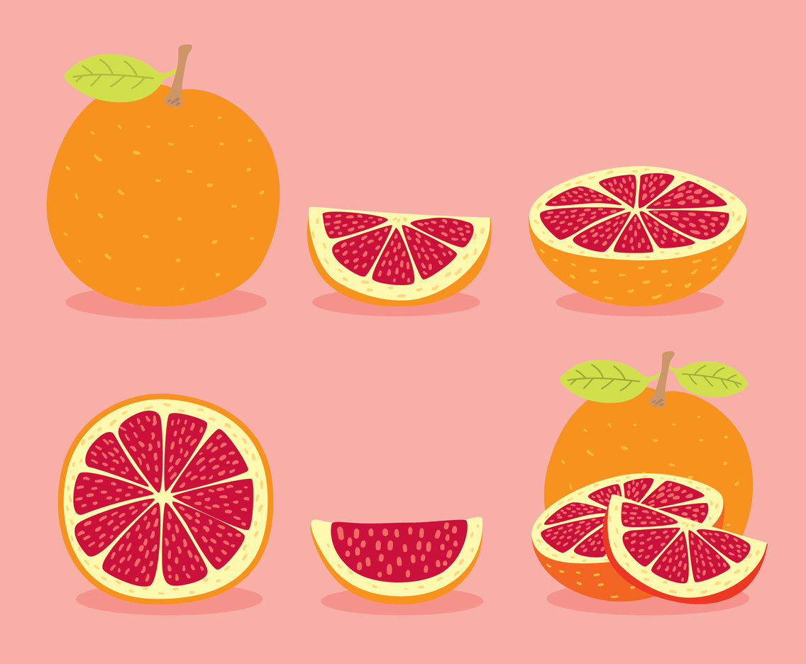 1136x936 Grapefruit Collection Vector Vector Art Graphics