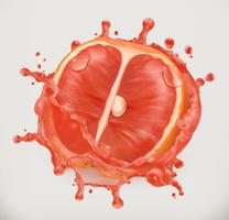 208x200 Grapefruit Free Vector Art