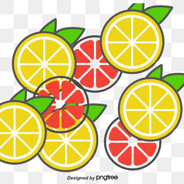 360x360 Grapefruit Vector, Free Download Grapefruit Cartoon, Grapefruit