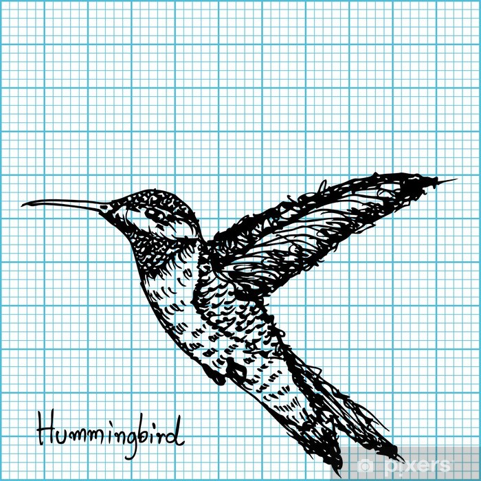 Hummingbird Sketch On Graph Paper Vector Poster 700x700 Hummingbird Sketch On Graph Paper Vector Poster
