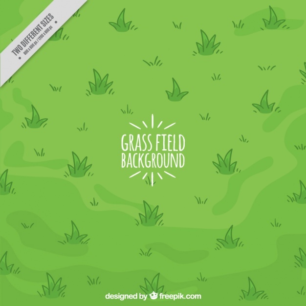 626x626 Grass Vectors, Photos And Free Download