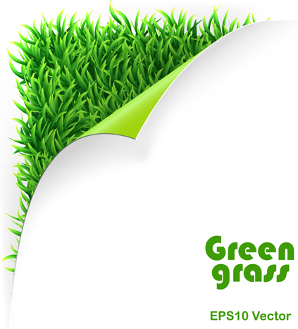 423x467 Green Grass Background Free Vector In Adobe Illustrator