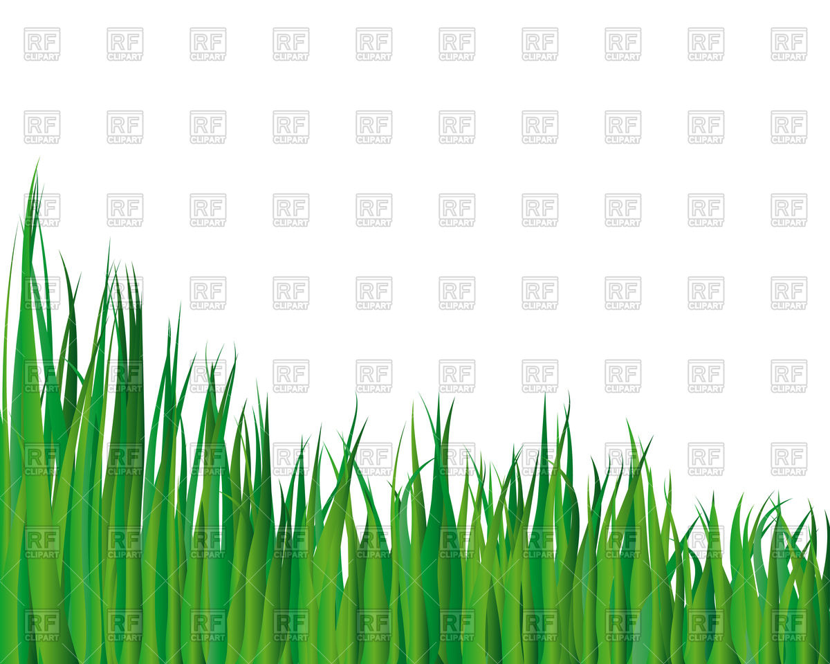 1200x960 Green Grass Background Vector Image Of Plants And Animals Angelp