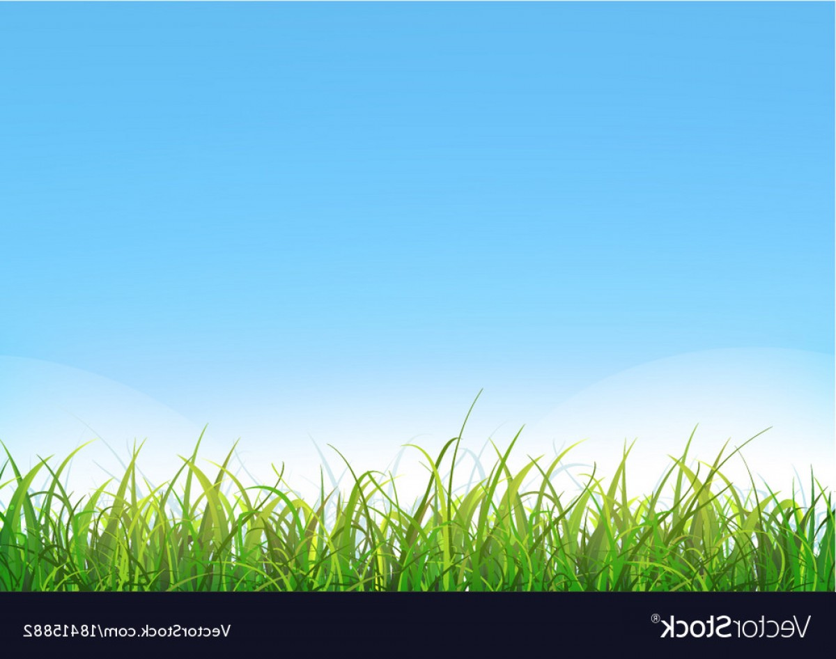 1200x946 Blue Sky Background With Green Grass Vector Soidergi