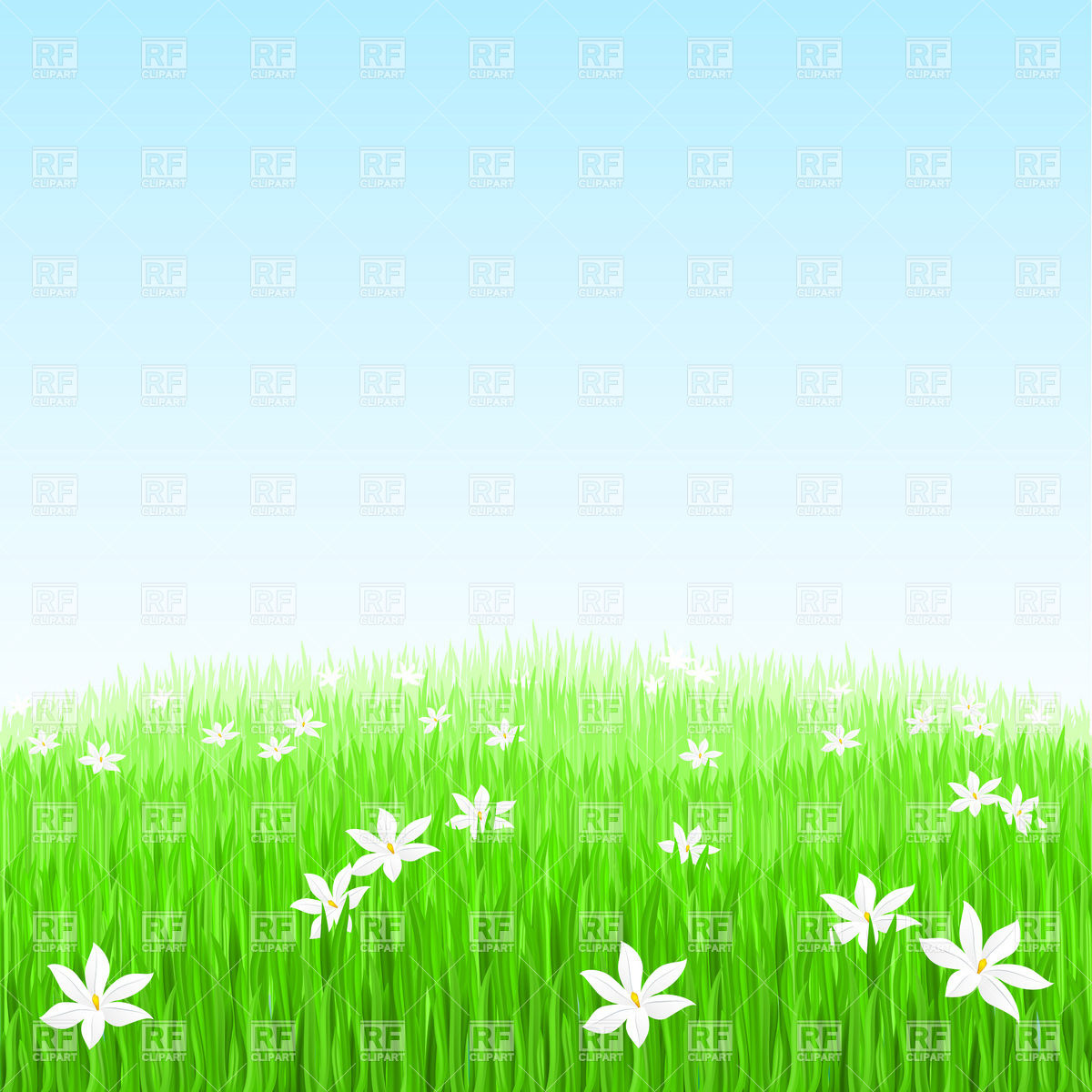 1200x1200 Green Grass With White Flowers Vector Image Of Backgrounds