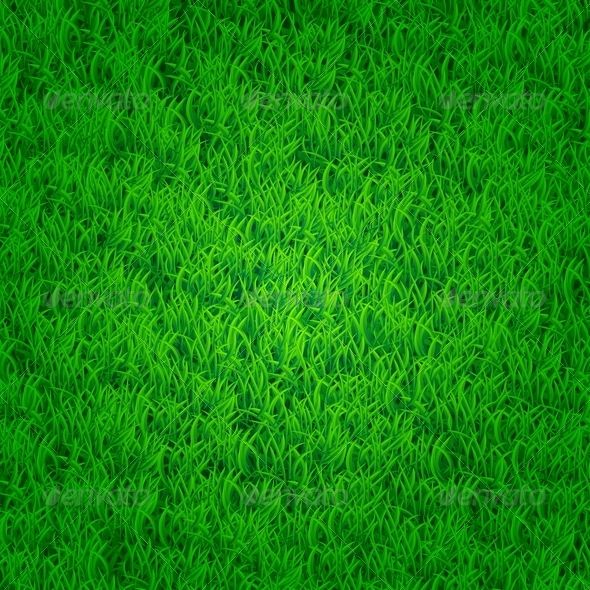 590x590 Vectors Green Grass Background, Grass