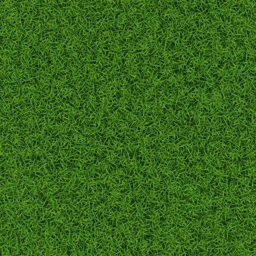 500x500 Refreshing Green Grass Background Vector Free Download