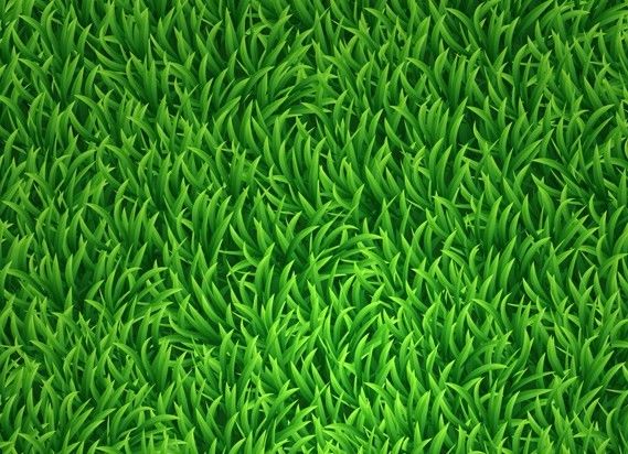 569x412 Cartoon Grass Game Envirment In Grass Vector, Grass