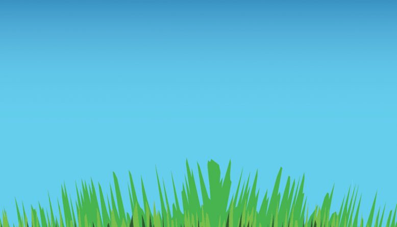 778x445 Vector Grass Illustration