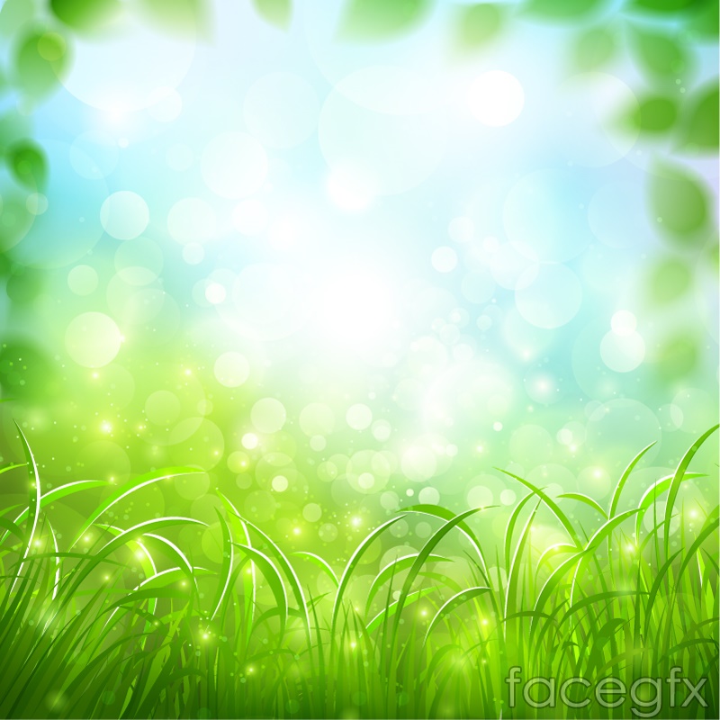800x800 Dream Green Grass Background Vector Over Millions Vectors, Stock