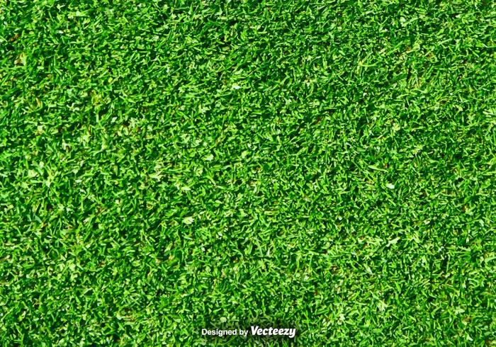 700x490 Grass Free Vector Art