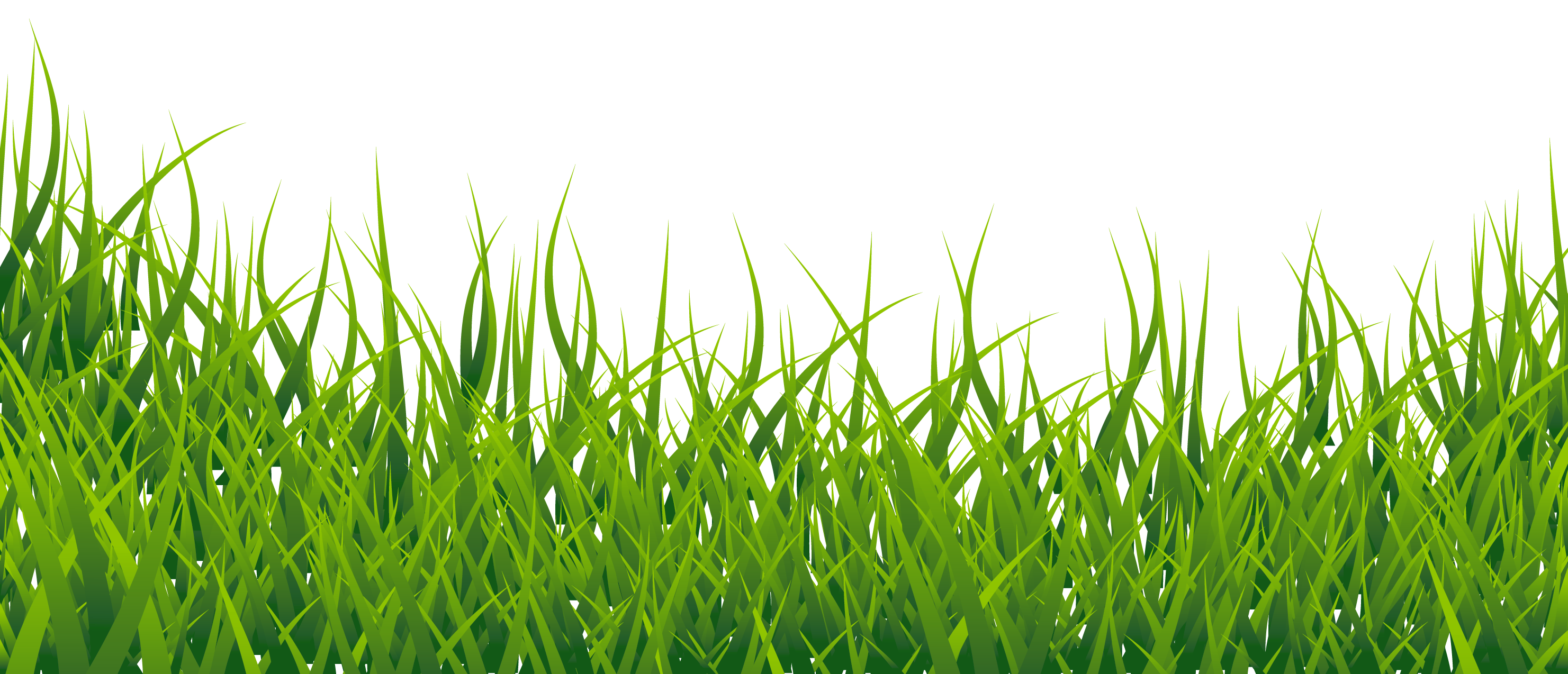 2962x1274 Grass Vector Grass In Grass Vector, Grass Clipart, Grass
