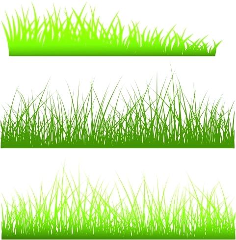 481x489 Blades Of Grass Clipart