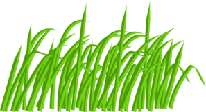 297x162 Blades Of Grass Clipart