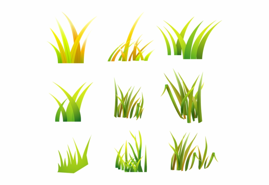 920x634 Desert Grass Vector Png Download