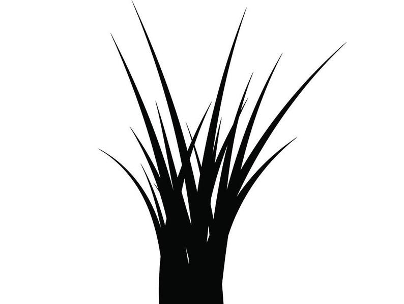 Grass Blades Vector at Collection of Grass Blades
