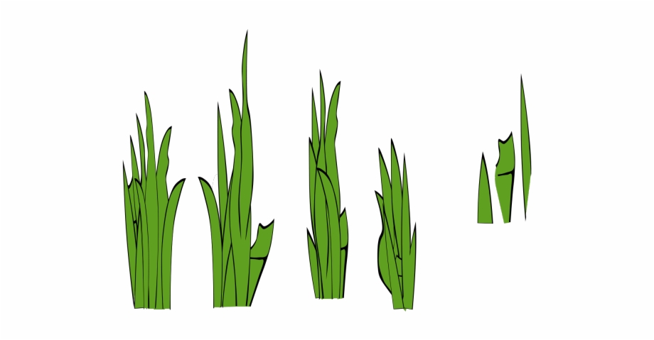 920x479 Grass Clipart Border