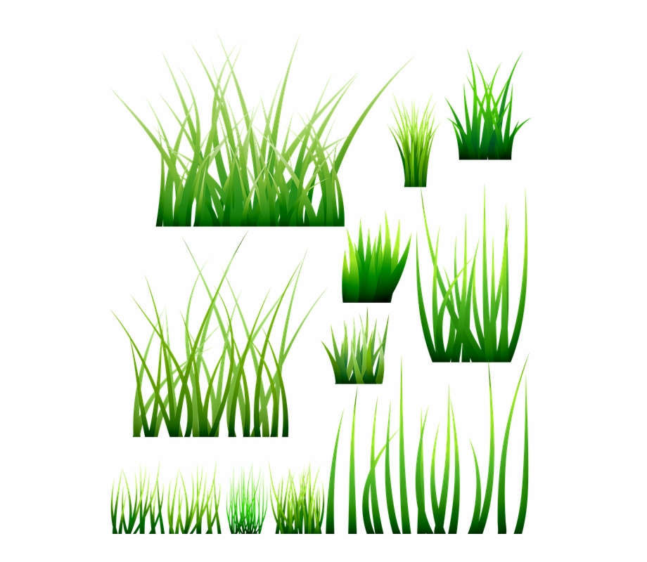 920x800 Grass Green Blades Meadow Nature Plant Grasses