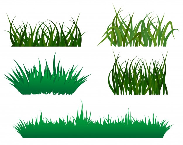 626x495 Grass Vibrant Vectors, Photos And Free Download