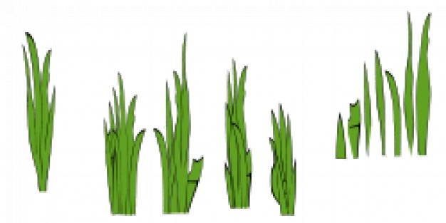626x313 Grass Blades And Clumps Vector Free Download