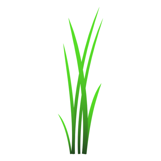 512x512 Grass Blades Illustration