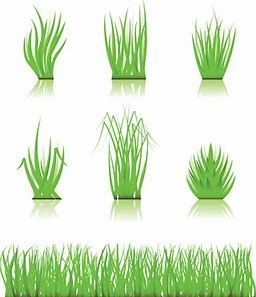 256x297 Image Result For Blades Of Grass Painting Grasses Grass