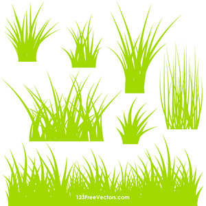 300x300 Grass Free Clipart
