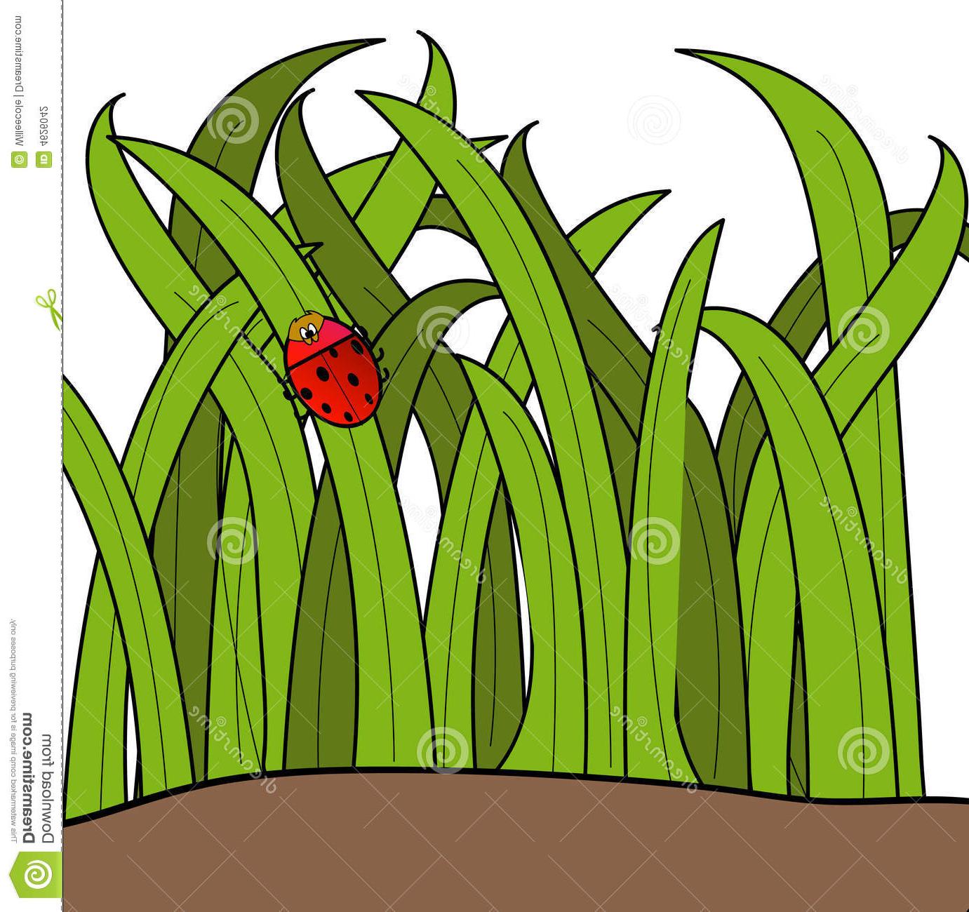 1381x1300 Top Blade Of Grass Vector Photos Vector Images Design