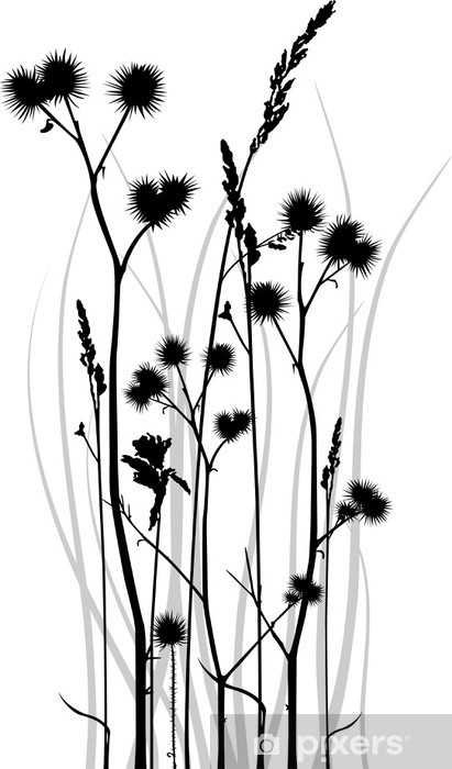 411x700 Vector Silhouette Of Grass Blades With Bur Wall Mural Pixers