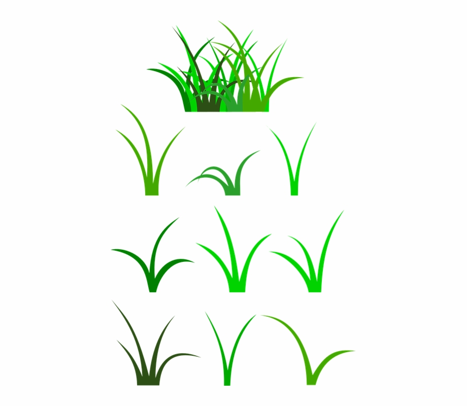 920x800 Blade Of Grass Clip Art Free Png Images Clipart Download