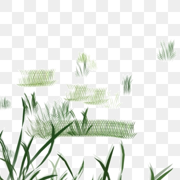 360x360 Blade Of Grass Png Images Vector And Free Download