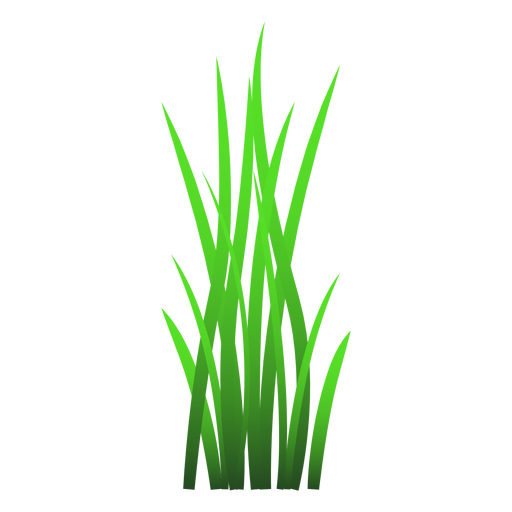 512x512 Blade Of Grass Illustration