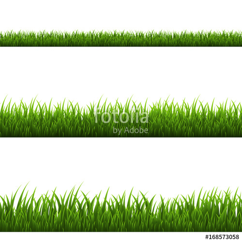 Grass Border Stock Image And Royalty Free Vector On Fotolia 500x500 Grass Border Stock Image And Royalty Free Vector On Fotolia