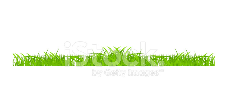 Grass Border Vector Illustration Stock Vector 799x349 Grass Border Vector Illustration Stock Vector